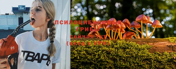 синтетический гашиш Белокуриха